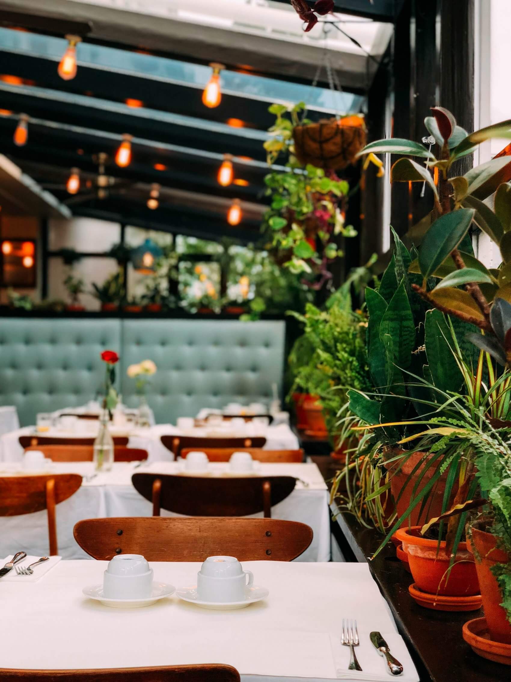 Modern Restaurant with Plants