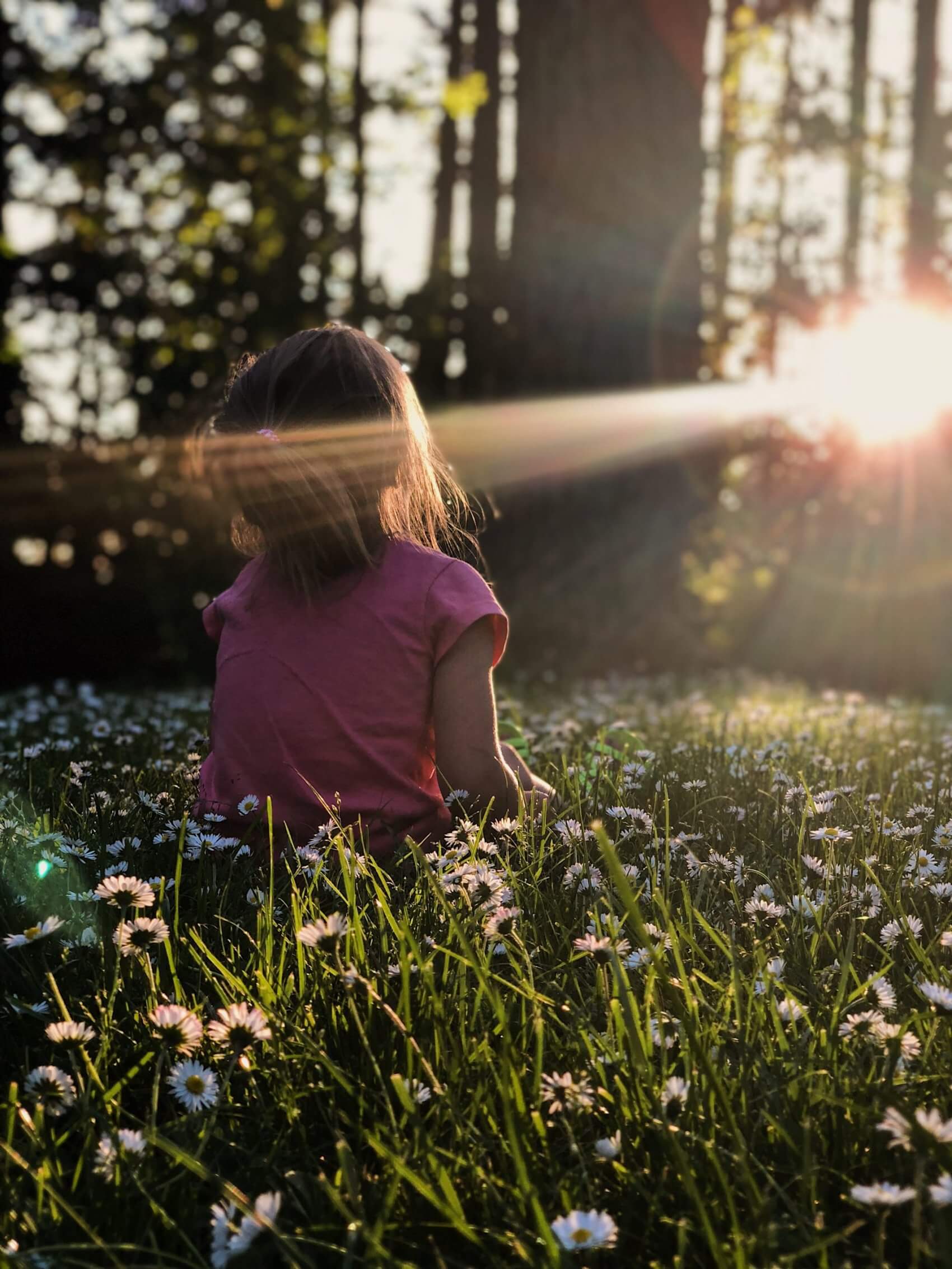 Little Girl Sitting in a Field
